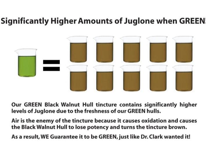 GREEN Black Walnut Hull Tincture (Extra Strength), 4 oz